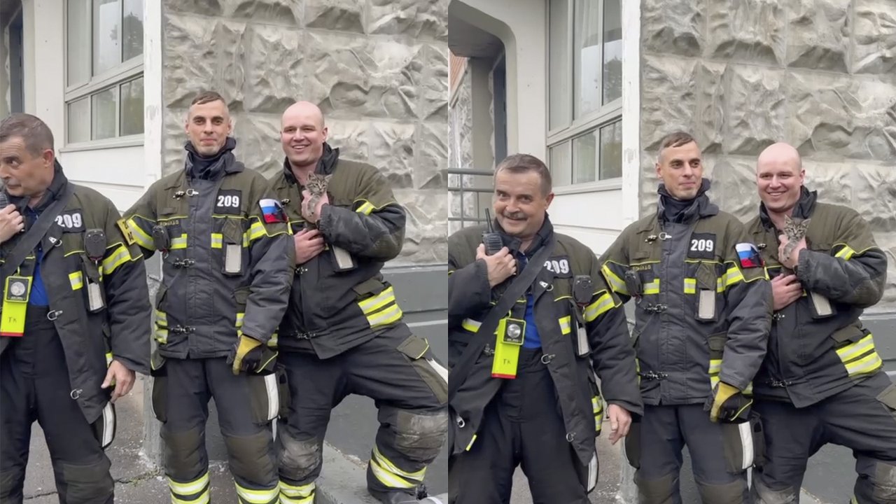После спасения котенка осмотрел ветеринарный врач