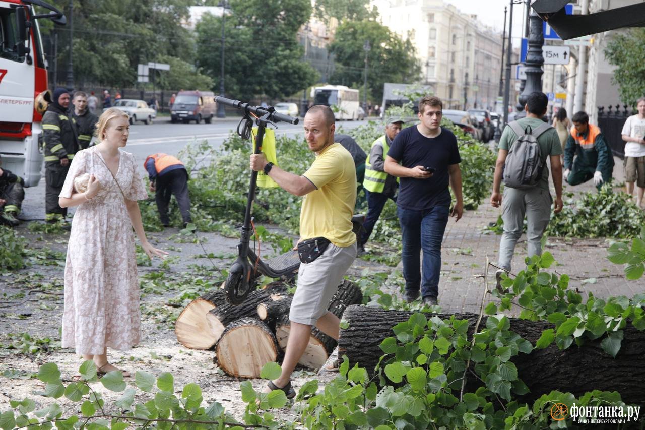 Трое погибших, сотни поваленных деревьев и десятки поврежденных машин:  последствия урагана в Петербурге - Новости Mail.ru