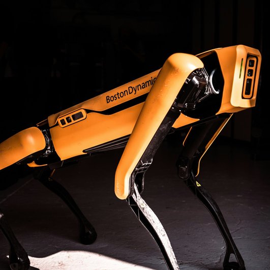 BostonDynamics BostonDynamics