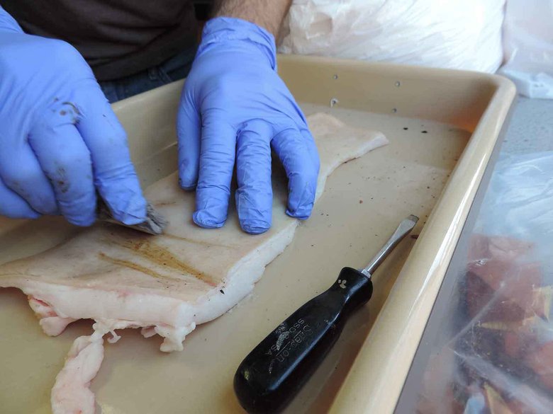 Эрен пытается разрезать при помощи фекального ножа кусок сала. Фото: Metin Eren