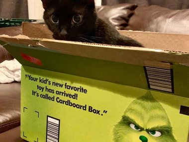 Надпись: «Пришла новая любимая игрушка для ваших детей! Она называется картонная коробка».