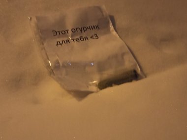 slide image for gallery: 27082 | В Москве на припаркованных авто кто-то оставил... соленые огурцы