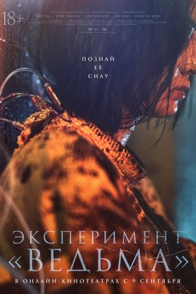 Эксперимент «Ведьма»: постер
