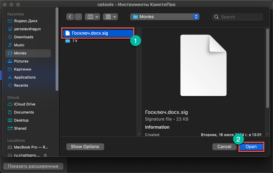 Диалоговое окно для выбора SIG-файла