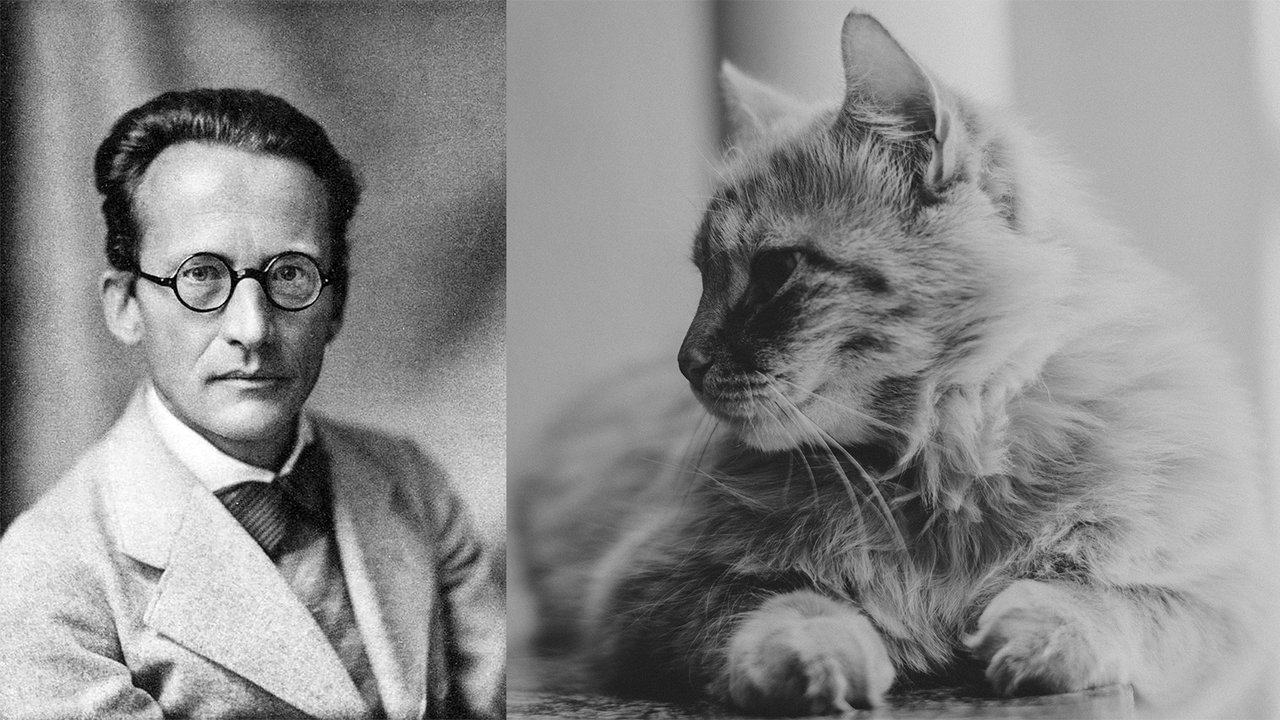 Эрвин Шредингер и кошка