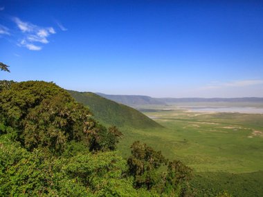 slide image for gallery: 25515 | Сафари 01