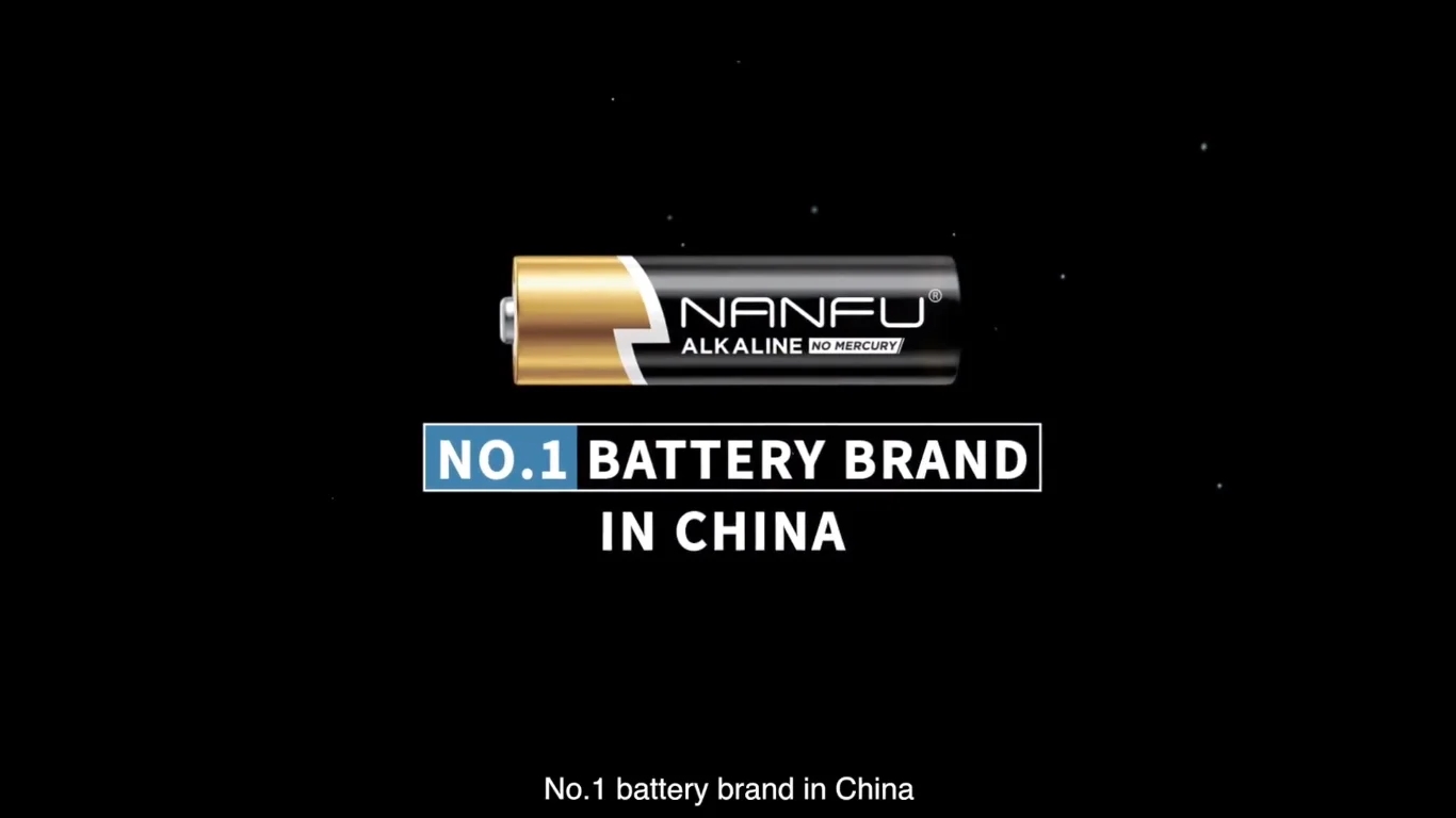 N1 Battery in China
