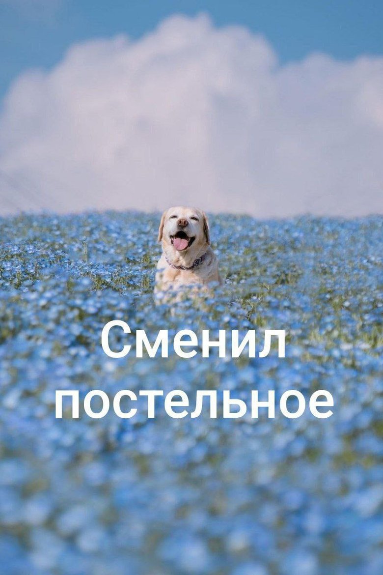 То самое чувство То самое чувство