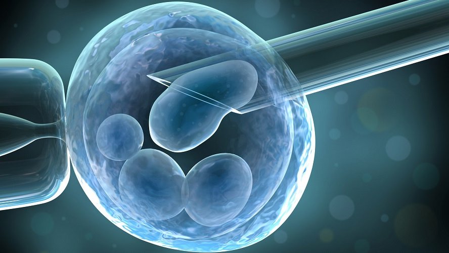 Перенос эмбрионов