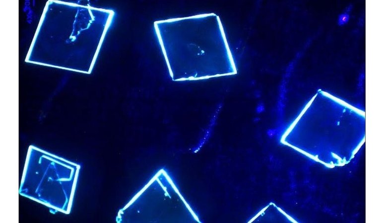 Фото: пресс-служба НГУ. Процесс фотолюминесценции кристаллов при облучении ультрафиолетом.