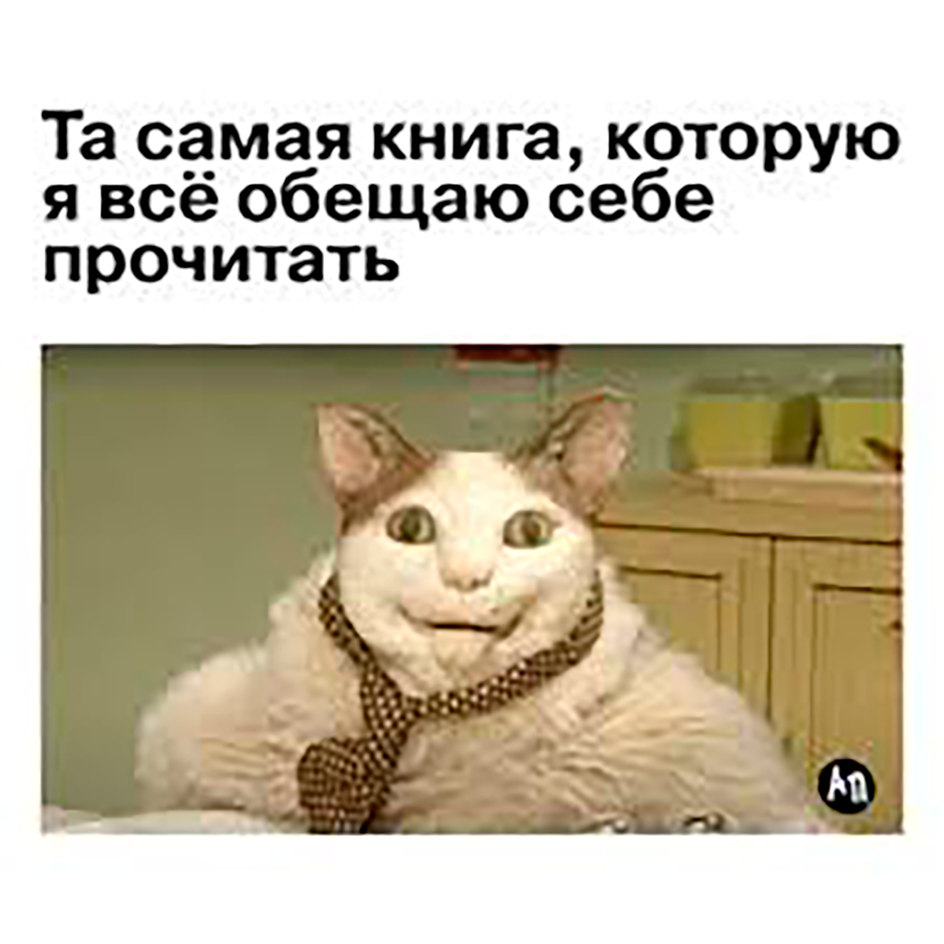 Скриншот мемы с говорящим котом