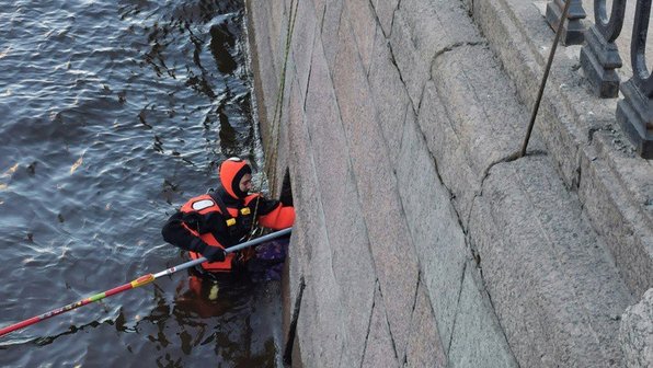 В Петербурге кот зубами и когтями противился попыткам его спасти