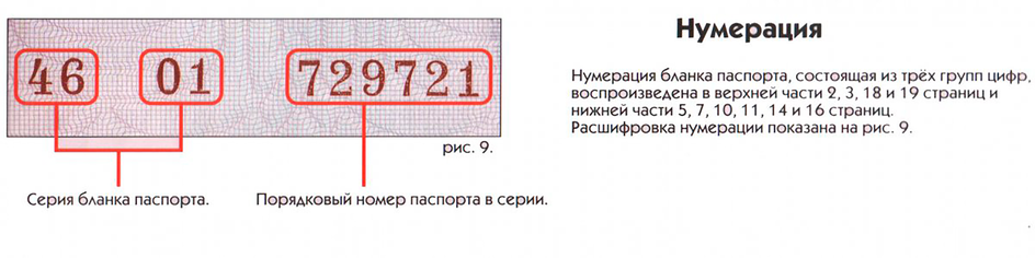 Инфографика, что означают цифры в серии и номере паспорта