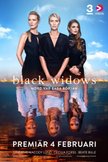Постер Черные вдовы: 1 сезон