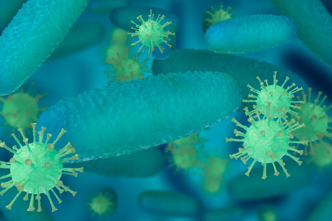 Helicobacter pylori