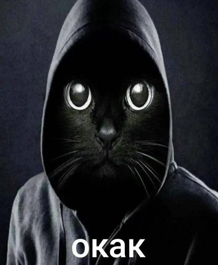 Кот Окак Кот Окак