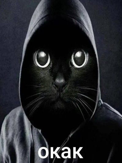 Портрет, на которой черный кот в черном капюшоне на черном фоне смотрит в кадр. Надпись на картинке: «Окак». Портрет, на которой черный кот в черном капюшоне на черном фоне смотрит в кадр. Надпись на картинке: «Окак».