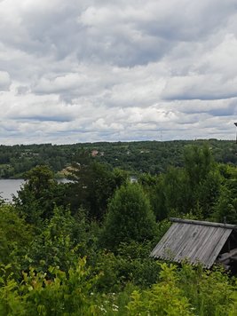 Фото на Honor 400 Pro Фото на Honor 400 Pro