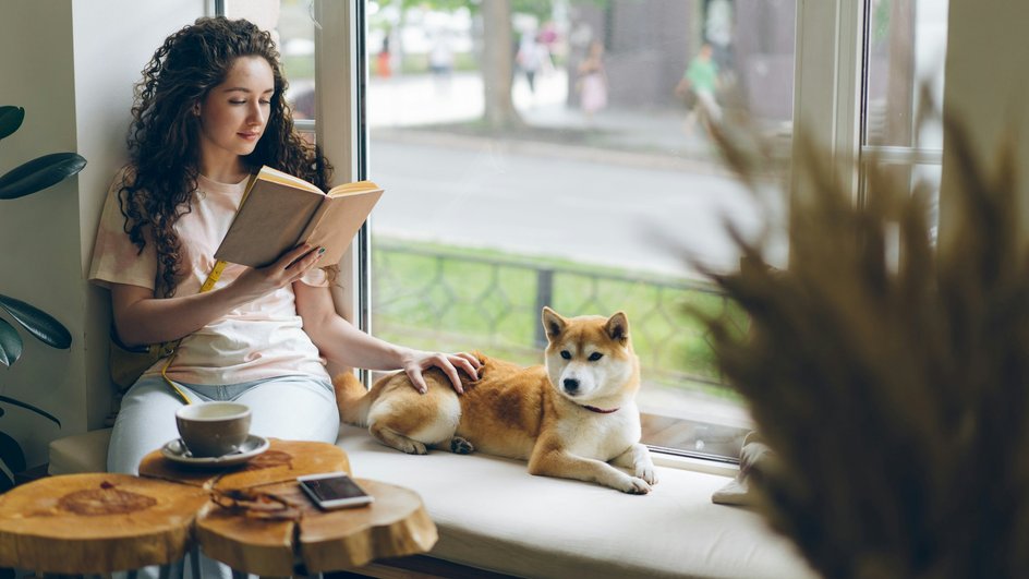 Хозяйка читает книгу, рядом с собакой на лежанке, в кафе