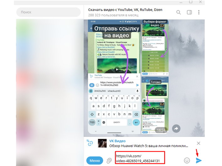 Окно Telegram-бота с введенной ссылкой на видео Окно Telegram-бота с введенной ссылкой на видео