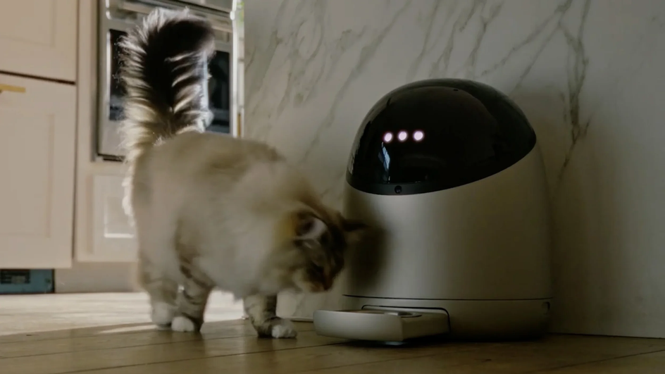 Умная кормушка Sphinx S1 Умная кормушка Sphinx S1