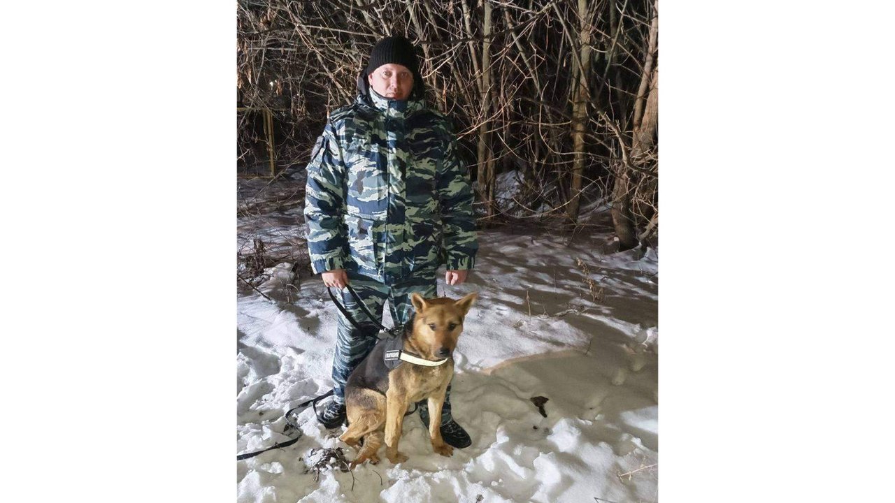 В Курской области пес нашел замерзающего мужчину В Курской области пес нашел замерзающего мужчину