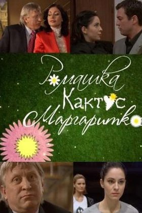 Ромашка, кактус, маргаритка: постер