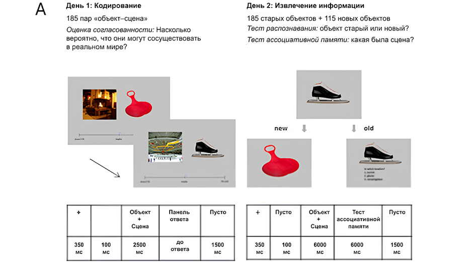 Графика Графика