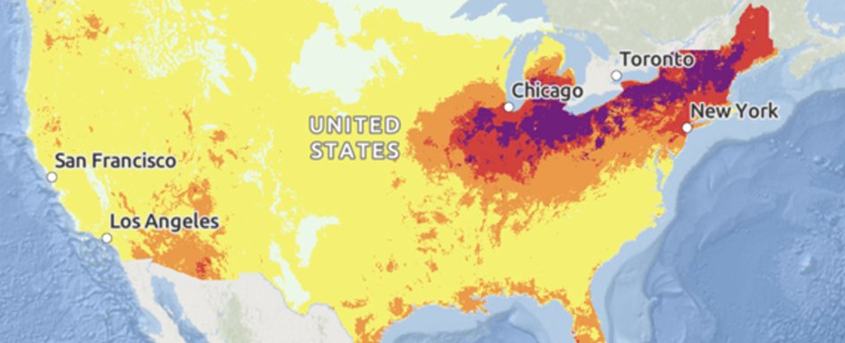Прогнозируемый риск жары на 20 июня 2024 года с указанием зон умеренного риска (оранжевый), высокого риска (красный) и экстремально высокого риска (фиолетовый)