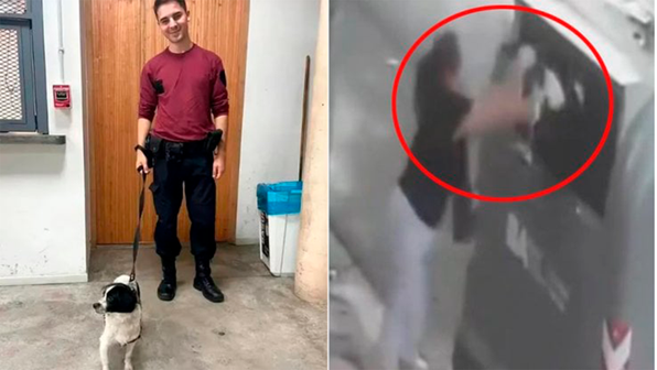 Девушка кинула собаку в мусорный бак, когда та попросила помощи