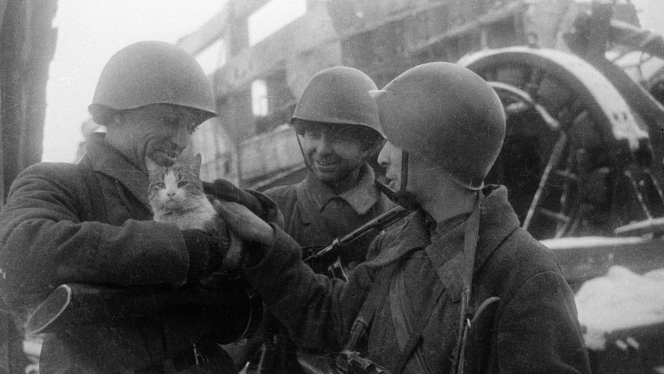 Фотография «Мирные воспоминания», Яков Рюмкин, Сталинград, 1942 год Фотография «Мирные воспоминания», Яков Рюмкин, Сталинград, 1942 год