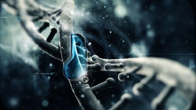 ДНК: Мечты о будущем