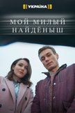 Постер Мой милый найденыш: 1 сезон