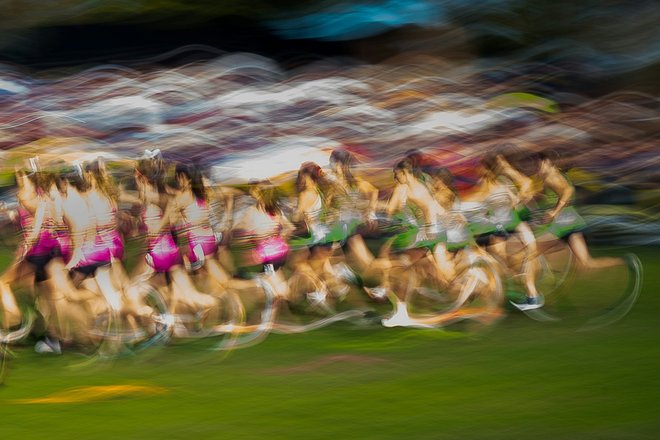 Unsplash.com/CC0 Unsplash.com/CC0