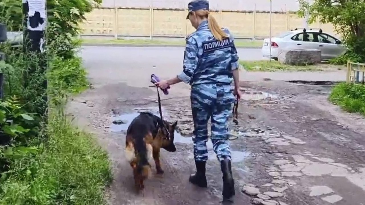 Полицейская собака с сотрудницей