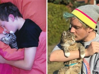 20 кошачьих «до» и «после», которые вас растрогают