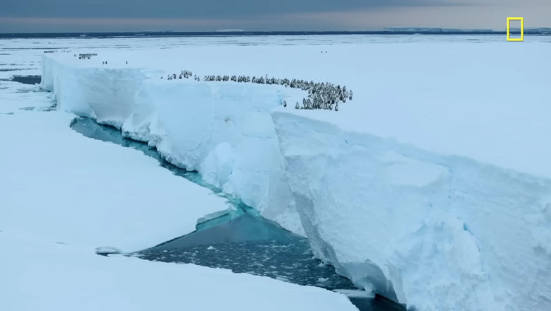 Высота ледника достигает более 15 метров.