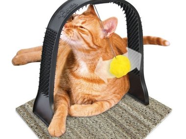 Slide image for gallery: 4070 | Комментарий «Леди Mail.Ru»: «маятниковый» массажер для кошек