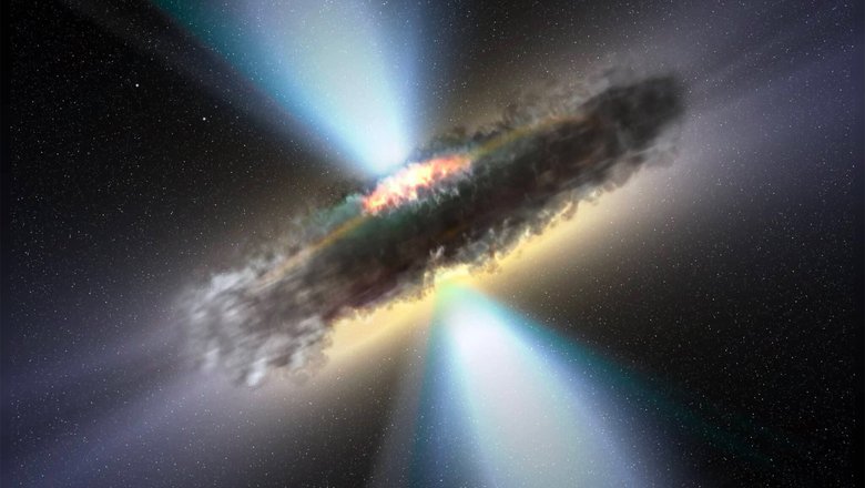 Плотный пылевой «бублик», который, как считают астрономы, окружает многие сверхмассивные черные дыры и их аккреционные диски. В представлении художника