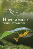 Постер undefined: 1 сезон