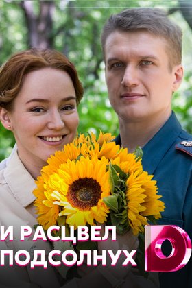 И расцвел подсолнух: постер