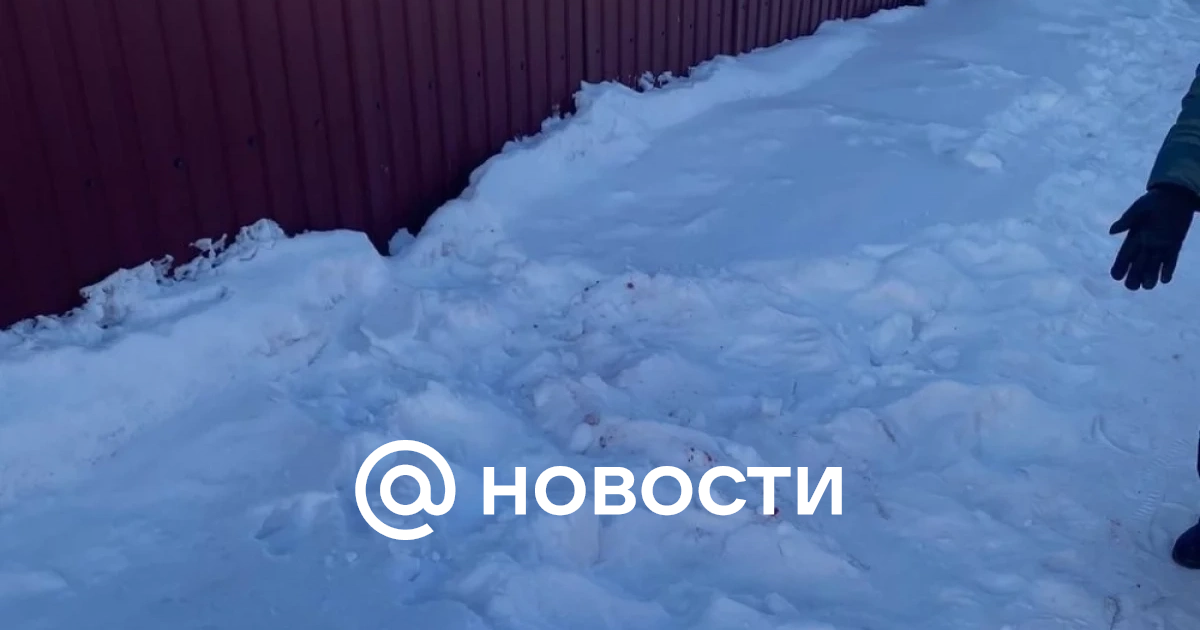 Женщины в теле в нижнем белье