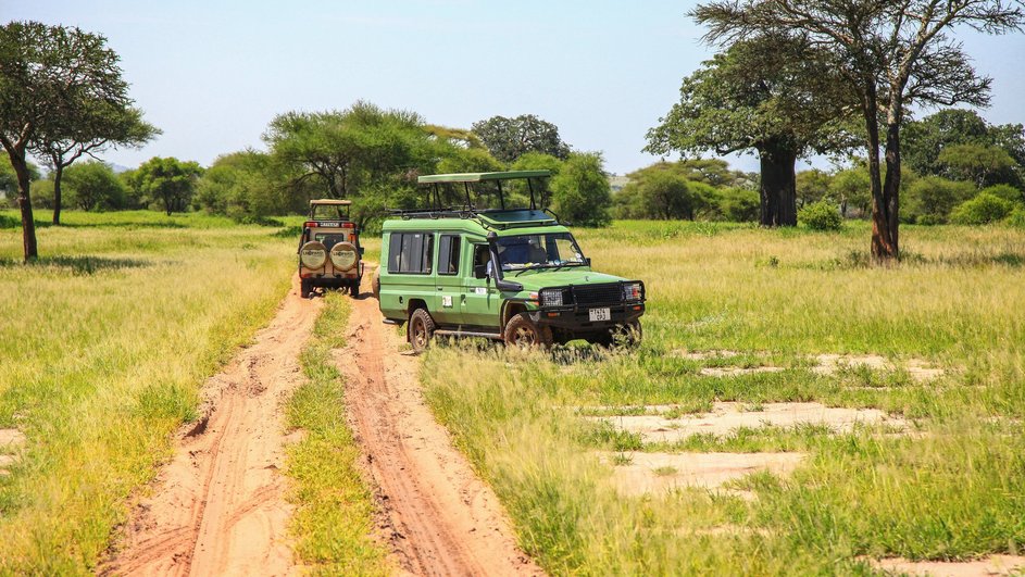 Оказавшись в Танзании, отправиться на сафари самостоятельно не получится. И водитель, и автомобиль должны иметь лицензию для передвижения в национальных парках.