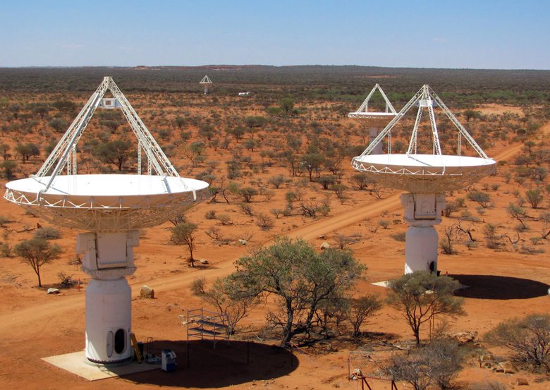 Радиотелескоп Square Kilometre Array. Фото: Wikimedia / Ant Schinckel, CSIRO / CC BY-SA 3.0