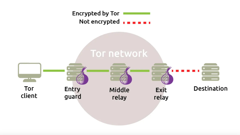 Диаграмма показывает процесс передачи данных через сеть Tor. Слева изображен компьютер с подписью "Tor client". Далее идет "Entry guard", затем "Middle relay", и "Exit relay". Все эти элементы находятся внутри круга с надписью "Tor network". После "Exit relay" идет "Destination". Зеленая линия обозначает зашифрованное соединение, а красная пунктирная линия — незашифрованное.