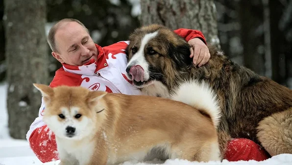 Лошади и леопарды: каких животных дарили Владимиру Путину