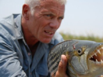 Rechnye Monstry River Monsters Opisanie Teleshou Otzyvy I Recenzii Uchastniki Video Foto Kino Mail Ru