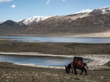 Кадр из Прогулка по Гималаям