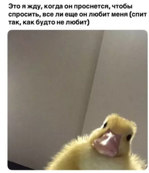 Дамы, было? Было. Дамы, было? Было.