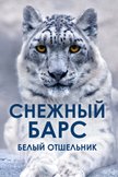 Постер undefined: 1 сезон